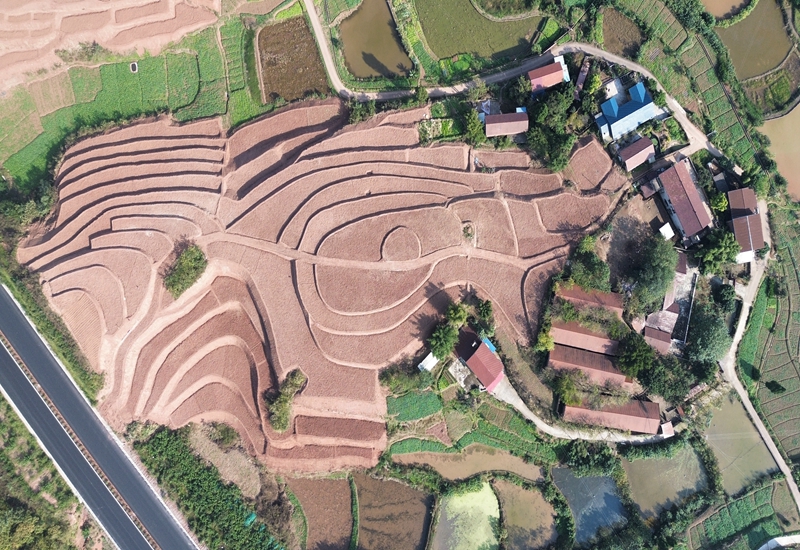 翠屏区高标准农田建设项目1.jpg