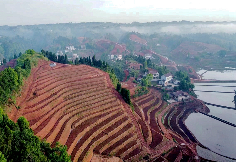 屏山县高标准农田建设.jpg