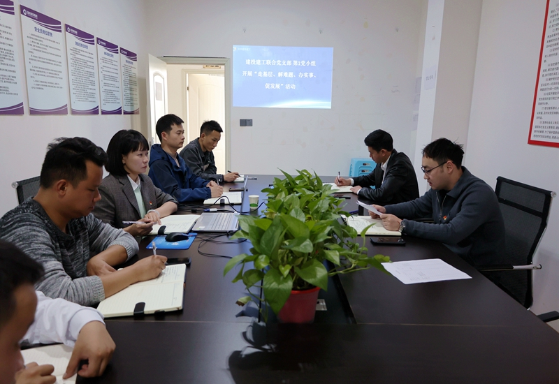 党小组走基层解决问题 (1).JPG