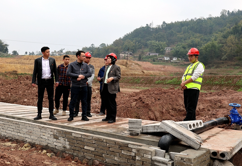 党小组走基层解决问题 (3).JPG