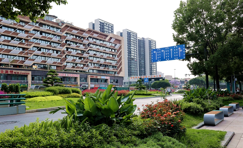 宜宾内环线绿化景观工程 (2).JPG