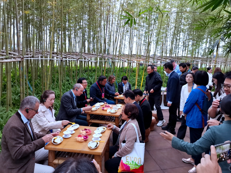 沉浸试体验，国际园艺生产者协会到宜宾展园评比打分 (4).jpg