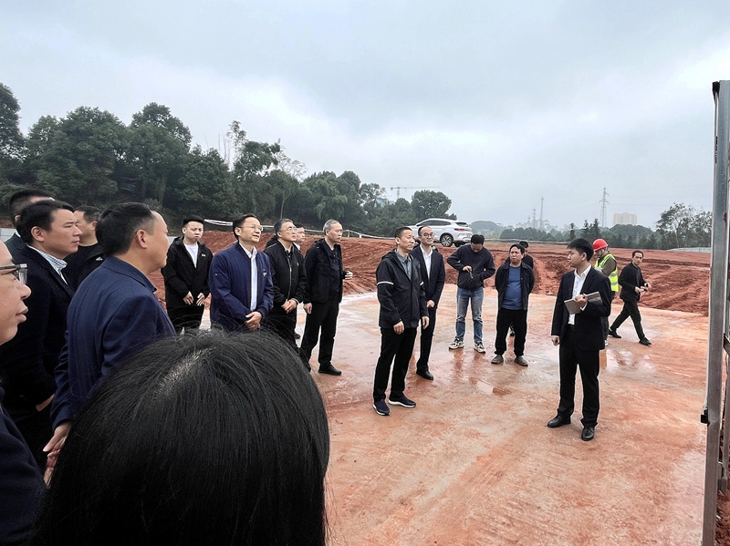 中国农业发展银行总行专家委员会到叙州区土地综合整治项目作资金专项调研 (1).jpg