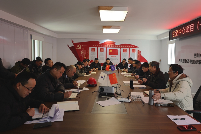建投建工到白酒中心（一期）项目开展节后复工复产工作督查 (3).JPG