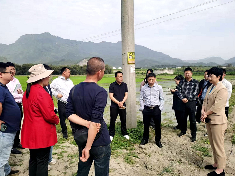 副县长徐江到长宁县双河镇“高农”项目调研 (1).jpg