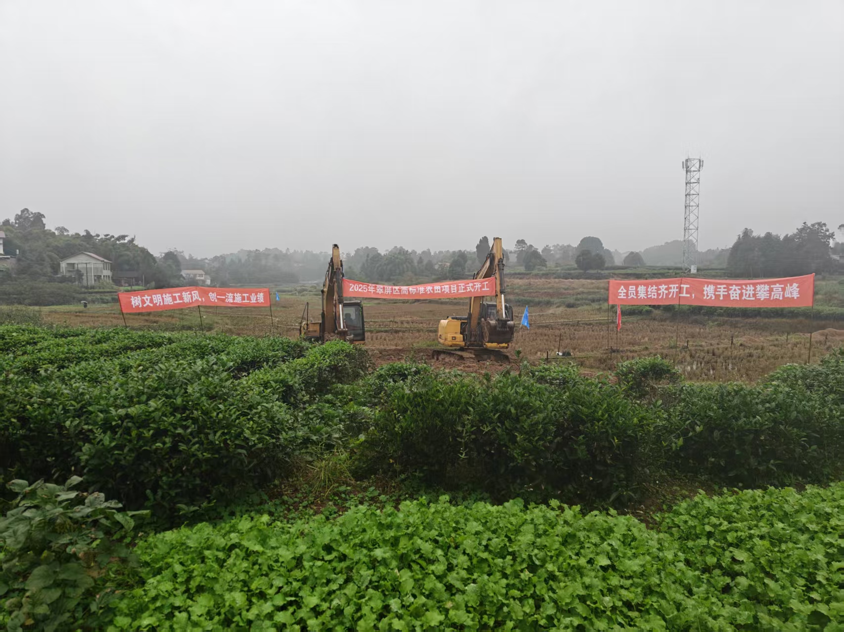 1762830635977644.png 1762830635977644.png